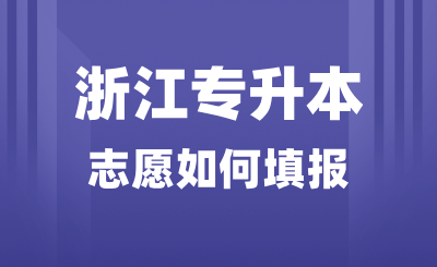 2025年浙江專(zhuān)升本志愿如何填報(bào)？能報(bào)考哪些院校？